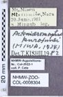 Etiketten zu Acteniceromorphus kurofunei (Miwa, 1934) (NHMW-ZOO-COL-0008304)